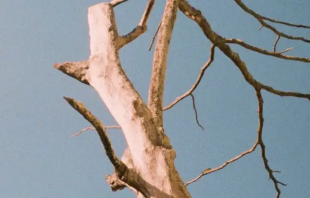 До использования